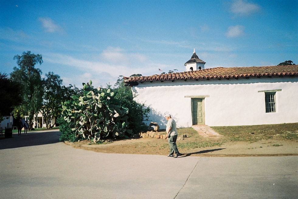 FH010036