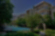 green trees near swimming pool during daytime_edited.jpg
