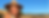 Kathryn_Thompson_Banner.png