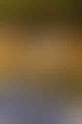 Casa da Cascata - Vale do Massiambu (28).jpg