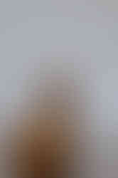 Bonvidá - Casa de Montanha (24).jpg