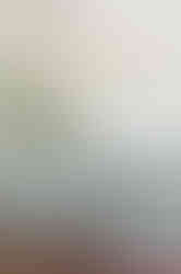 Casa Lia - Lu Caiaffa + Ba Antunes (9).jpg