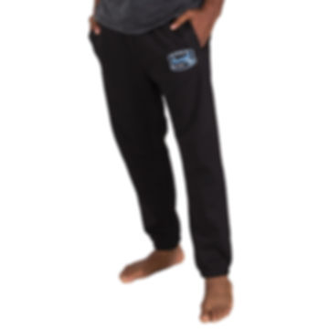 Ascent Men's Pant