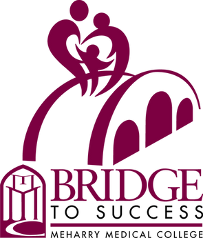 BRIDGEtoSuccessLogo@3x.png