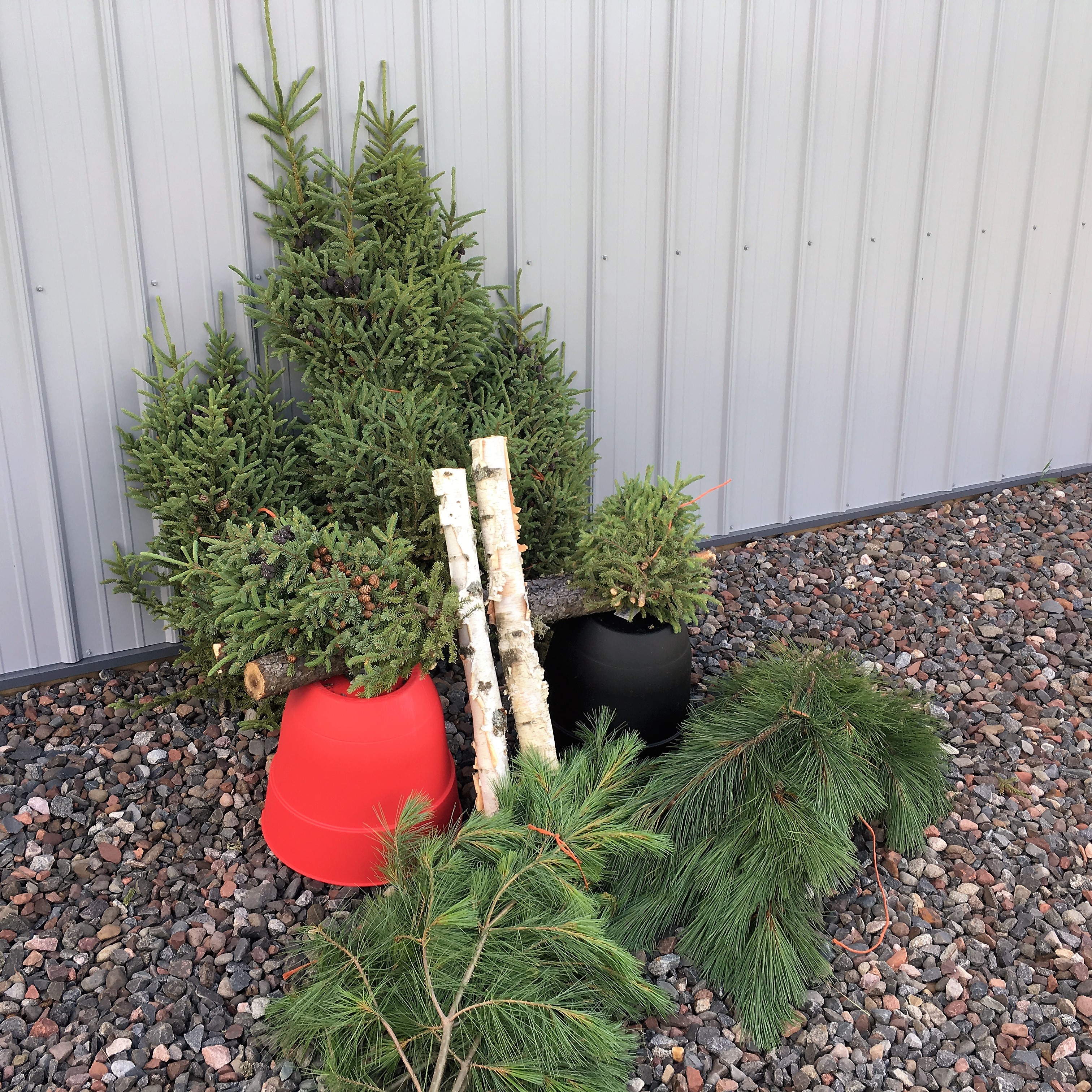 Spruce Tops Black Spruce Holdings, LLC FOREST PRODUCTS