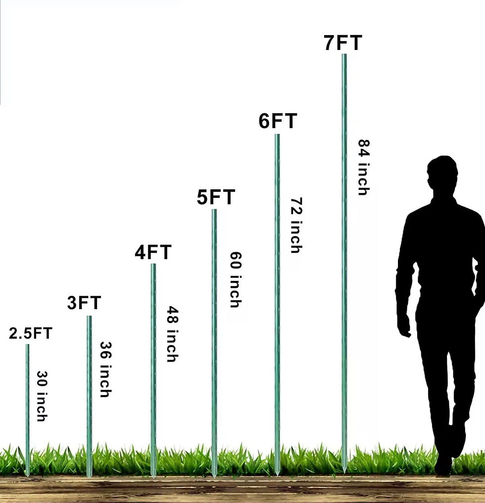 Thumbnail: Plant Stakes