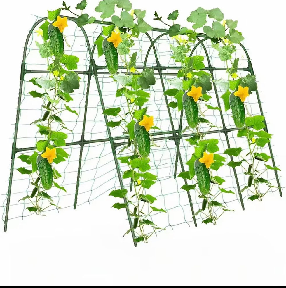 Thumbnail: Plant Stakes