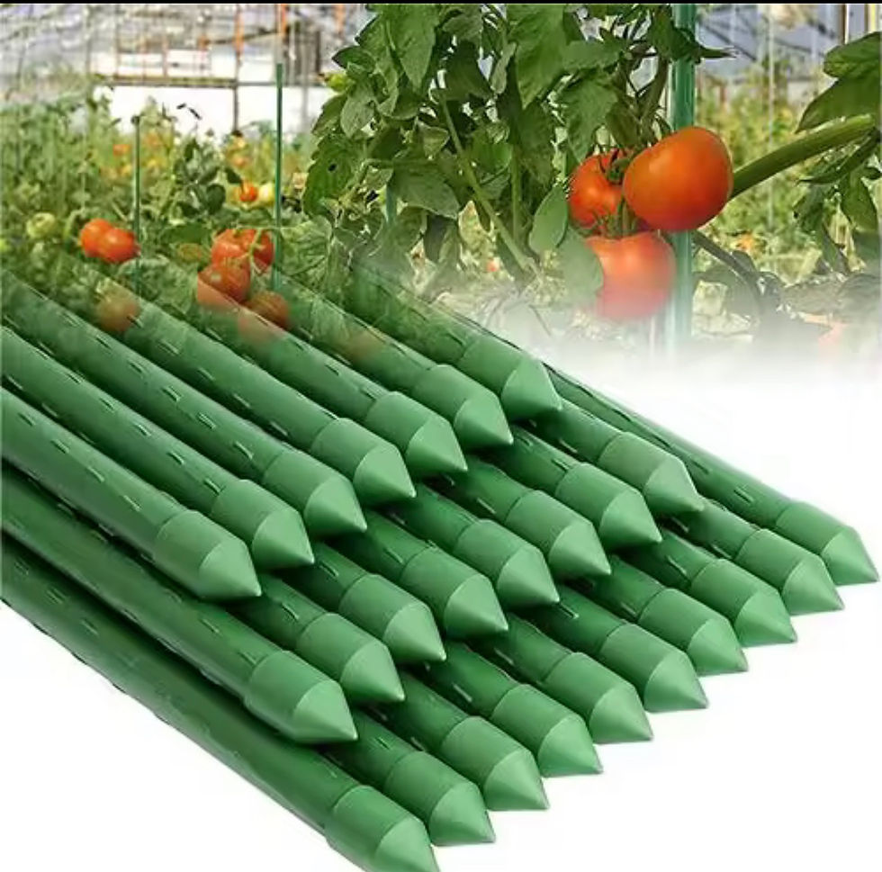 Thumbnail: Plant Stakes