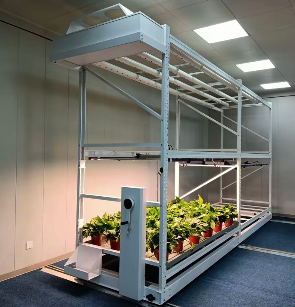 Thumbnail: Planting Tray