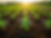 62838f97-45a6-49ed-9408-0f44aa538286.png