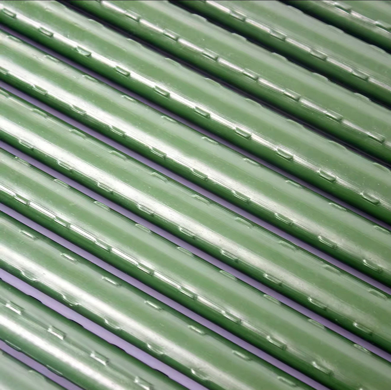 Plant Stakes