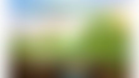 Effect of CropBioLife (CBL) on Growth and Development of Chili Plants