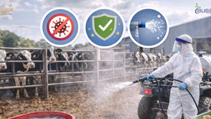 Why Farm Biosecurity Depends on Safe, Scalable Disinfection