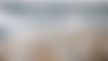 Reducing Poultry Stress Through Better Environmental Sanitation.