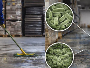Why Surface Cleaning Alone Fails in Warehouses & Cold Storages