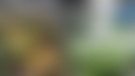 Why Leafy Greens Spoil First — and How Shelf-Life Management Changes the Game