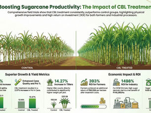 Economic Evaluation of Sugarcane Production: Impact of CBL Trials on Farmer ROI at DCM Shriram