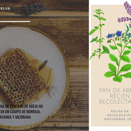 Hotels-Models14015 2_edit_new 2.jpg