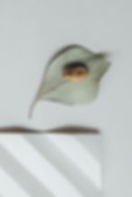 Thumbnail: Soap dish