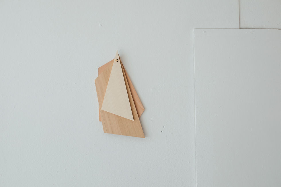 Thumbnail: Chopping boards set