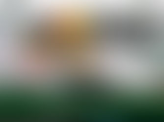 加古郡稲美町の持ち帰り寿司 畠寿司様 ホームページ制作伴走サービスをご利用いただきました