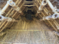 重文奥家住宅の茅屋根　蔵　木小屋　外回りの漬物小屋の修理工事　令和7年8月度月報