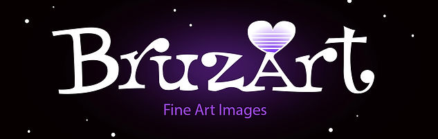 Bruzart_Logo White copy.jpg