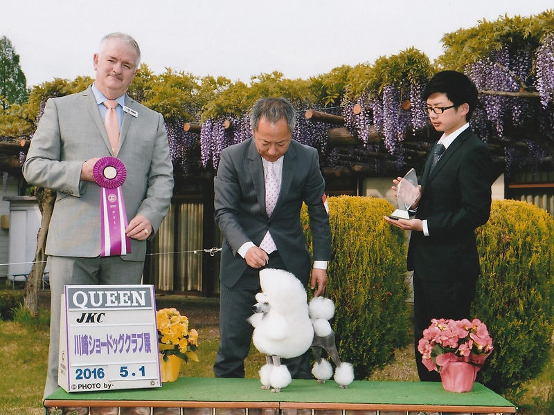 May 1,2016 Dog Show in Kanagawa-ken