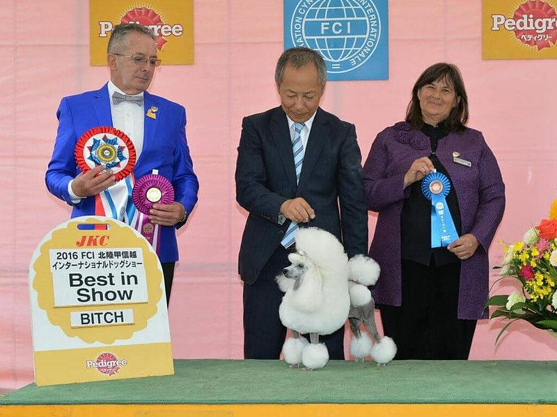 Jun. 19, 2016 FCI International Dog Show in Shiga
