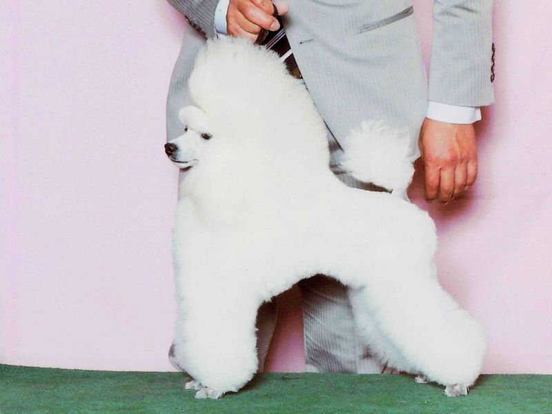 SEAMO1.jpg
