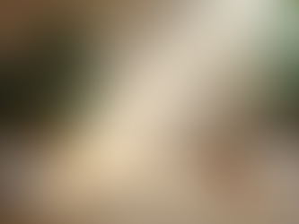 Creating a Spiritual Home: Tips for Homemakers