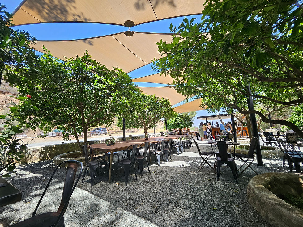 shade sails Cyprus, cinnamon shade sails, architectural shade structures, outdoor shading solutions, Lythrodontas Cyprus, custom shade sails, UV protection shade sails, commercial shade systems, modern outdoor design, premium shade fabric Cyprus.