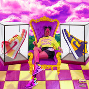 queen of kicks_plenty shades of great.jpg