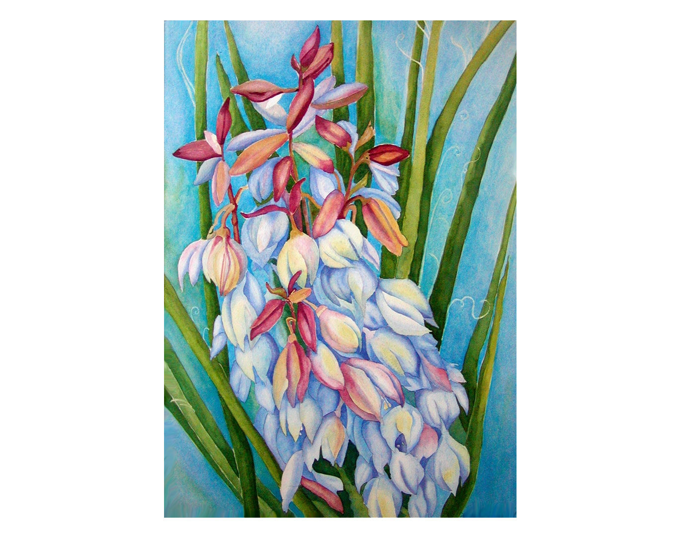 Yucca - watercolor by artist Gail M Austin