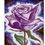 Thumbnail: Rose of Transformation by artist Gail M Austin