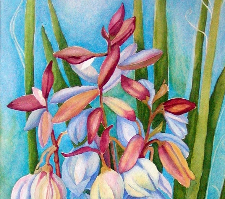 Thumbnail: Yucca - watercolor by artist Gail M Austin