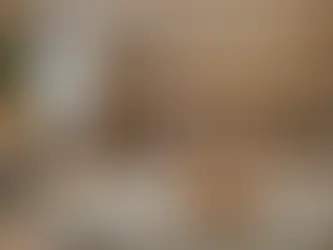 Are Pet Hotels the Ultimate Staycation for Furry Friends? Unveiling the Positive Impact on Animal Wellbeing