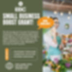 Small Business Boost Grant