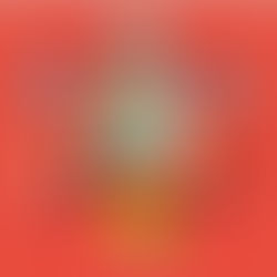 Comercio Eletrônico: Uso da internet como ferramenta para vender mais