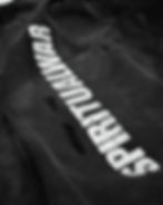 Thumbnail: DESTROYED HOODIE