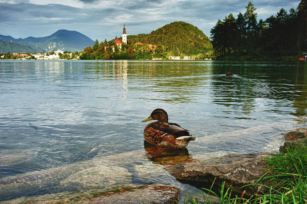 lago di Bled