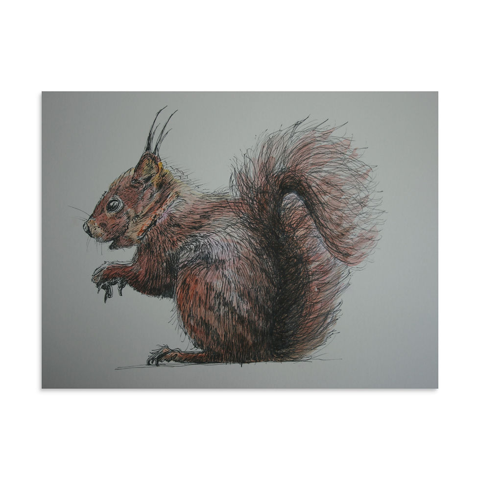 Thumbnail: Fluffy or what! - Poster print