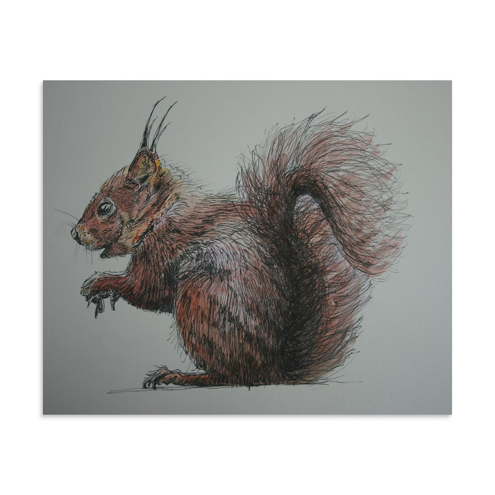 Thumbnail: Fluffy or what! - Poster print