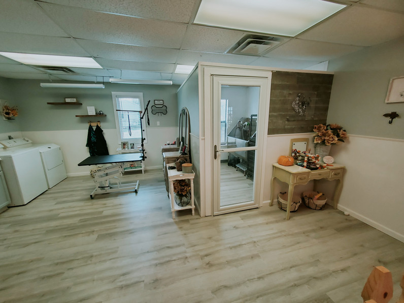 Pet Boarding Daycare Grooming Sweet Magnolia's Pet Resort New Braunfels