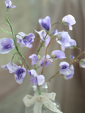 Chocolate sweet peas