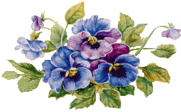 FlowPansies.gif