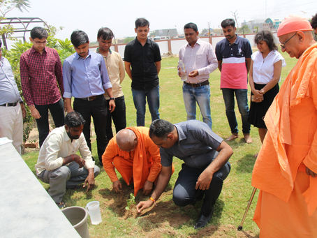 Tree Plantation on World Environment Day