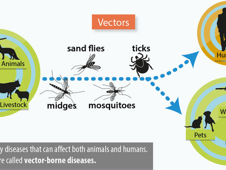 Public Private Partnership Mode for Vector Borne Diseases