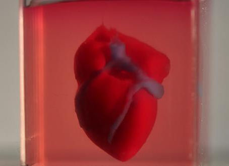 Scientists print first ever 3D heart using patient’s own cells