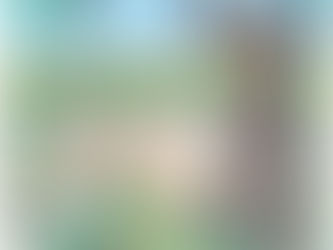 כי האדם עץ החיים